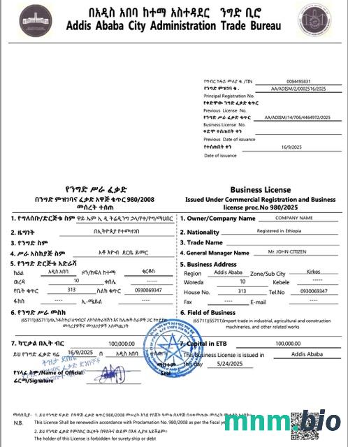 Etiopia Addis Abeba Business license Word i szablon PDF, version 2